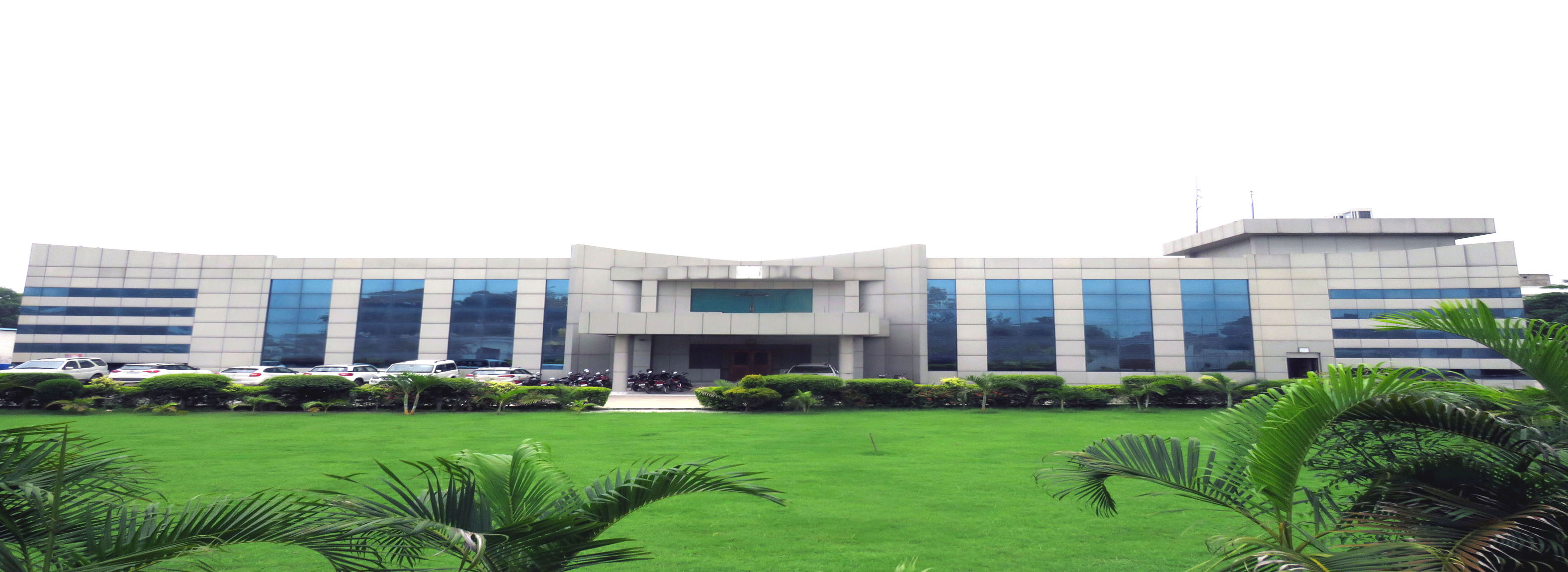 Welcome to Surya Carpet